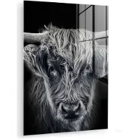 MuchoWow Glasschilderij 120x160 cm - Schilderij acrylglas - Schotse hooglander - Zwart - Koe - Dieren - Foto op glas - Muurdecoratie woonkamer - Wanddecoratie slaapkamer - Schilderijen