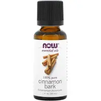 Now , Essentiële Olien, Cinnamomum, 1 fl oz (30 ml)