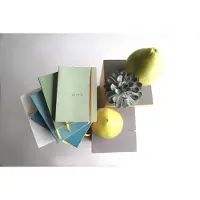 Rhodia Notitieboek Rhodia A5 lijn 80 vel 90gr celadon
