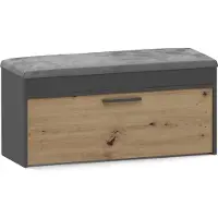 Topeshop Schoenenkast ANTRACIET ARTISAN