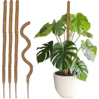Relaxdays mosstok voor planten - set van 5 - kokos - met jute - 90 cm