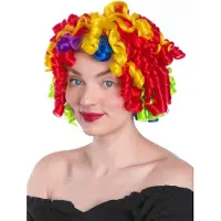 Maskworld Regenboog clown pruik - Carnaval Kostuum Pruik