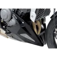 Bodystyle Bugspoiler, Zwart TRIDENT 660 BJ. 21-