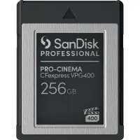 SanDisk PRO-CINEMA 256 GB CFexpress