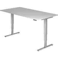 Hjh OFFICE PRO XDSM 2E S - Grijs 200 x 100 Tafelhoogte I Elektrisch in hoogte verstelbaar