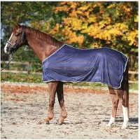 Kavalkade Paardenvliegendeken Stripe