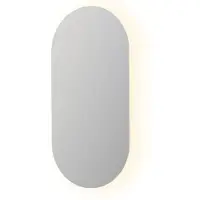 Ink Spiegel sp27 40x3x80 cm zonder kader aluminium