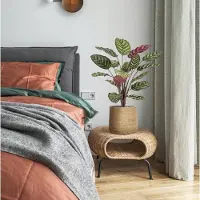 Maxifleur Kunstplanten Red Calathea Makoyana FR Kunstplant 60cm