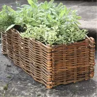 Intergard Moestuinbak plantenbak wilgen 100x35x35cm