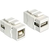 DeLOCK USB A naar B keystone -