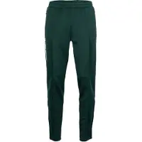 The Indian Maharadja Trainingsbroek Men Jaipur Green-S