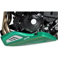 Bodystyle BUGSPOILER ** Z650 RS 22- GROEN