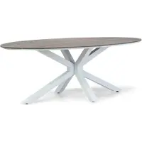 Lifestyle Garden Furniture Lifestyle Panama dining tuintafel ellipse 220 x 115 cm
