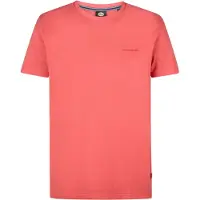Petrol Industries Shirt 'Manatee'