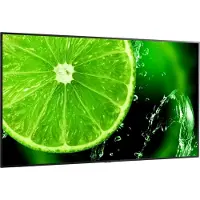 NEC Zakelijke monitor Sharp/NEC MultiSync E758, 75", 3840 x 2160 px, IPS-paneel, HDMI/USB/LAN, 2 x 10 W, geïntegreerde mediaspeler