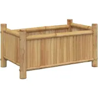 vidaXL Plantenbak 50x30x25 cm bamboe