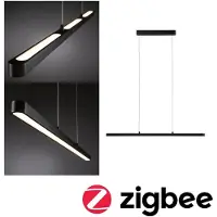 Paulmann Lento 79885 LED-hanglamp LED LED vast ingebouwd 40.5 W Zwart (mat)