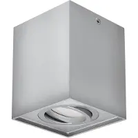 Strühm Hary Opbouwspot - Vierkant - Plafondspot past over centraaldoos - GU10 - 1 Lichtpunt - Zilver - Spotjes voor woonkamer, slaapkamer of keuken.