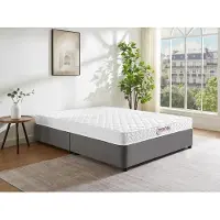Vente-unique Schuimmatras met vormgeheugen PELOPS van DREAMEA dikte 15 cm - 140 x 190 cm