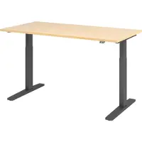 Hjh OFFICE PRO XMKA 16 G - Esdoorn 160 x 80 Tafelhoogte I Elektrisch in hoogte verstelbaar