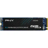 PNY Technologies Hard Drive M280CS1030-250-RB