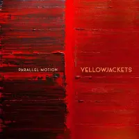 New Arts International Bv Parallel Motion