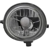 Diederichs 5620089 Mistlamp