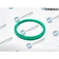 Dr.Motor Automotive DRM0624 Dichtring, laadluchtslang