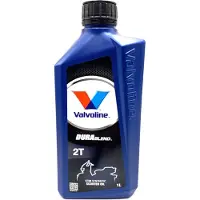 Valvoline 862064 Motorolie