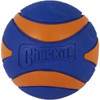 Chuckit! Ultra Squeaker Ball XL