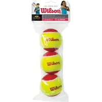 Wilson Tennisbal