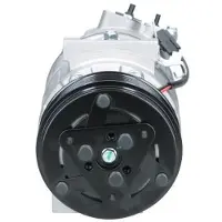 BV PSH 090.165.025.000 Aircopomp