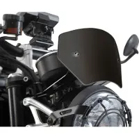 SW-Motech Triumph Speed Twin 1200 Abs 19-22 Voorruit