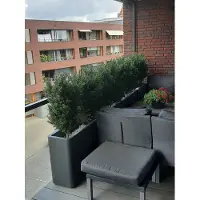LeopoldFlora Kunststruik Taxus 90 cm UV