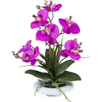 Kopu kunstbloem orchidee 41 cm met bloemschaal phalaenopsis