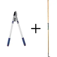 Synx Store Synx Tools Voegenmes RVS + Spear & Jackson Takkenschaar Telescopisch - Vlijmscherp - 10 JAAR GARANTIE - Aambeeld - Onkruidmes - Voegenkrabber met steel 150cm