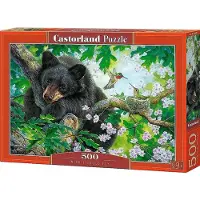 Castorland Wish I Could Fly Puzzel (500 stukjes)
