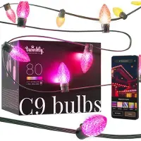 Twinkly C9 lampen - App gestuurde - LED-lichtslinger met 80 RGB (16 miljoen kleuren) LED's - 24,4m - Groene kabel - Slimme buitenverlichting