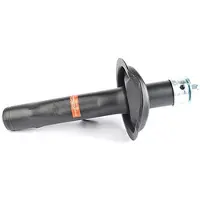 BSG 70-300-004 Schokdemper
