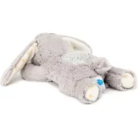 Cloud B Dream Buddies Benny Bunny Konijn Babyprojector