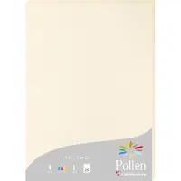 Pollen Papier