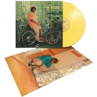 Modulor Cnt Slingshot Vinyle Jaune