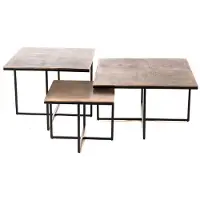 Starfurn Salontafel Joelle Set van 3