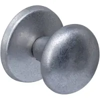 Intersteel | Voordeurknop paddenstoel | RVS Getrommeld