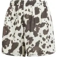 Adidas Broek bruin / chocoladebruin / wit