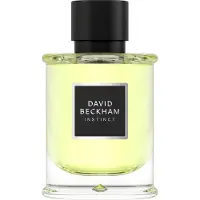 David Beckham Instinct Instinct Eau de Parfum For Men 75 ml