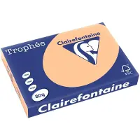 Clairefontaine Abrikoos A3 Gekleurd papier 80 grams (500 vel)