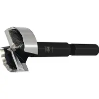 Fisch-Tools Houtboor | d. 48 mm totale lengte 90 mm | schacht-d. 10 mm | 1 stuk - 031704800 031704800