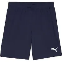 Puma GOAL Training Short