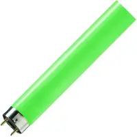 Philips 25x G13 T8 TL-buis | 18W 1800lm | 600mm Groen